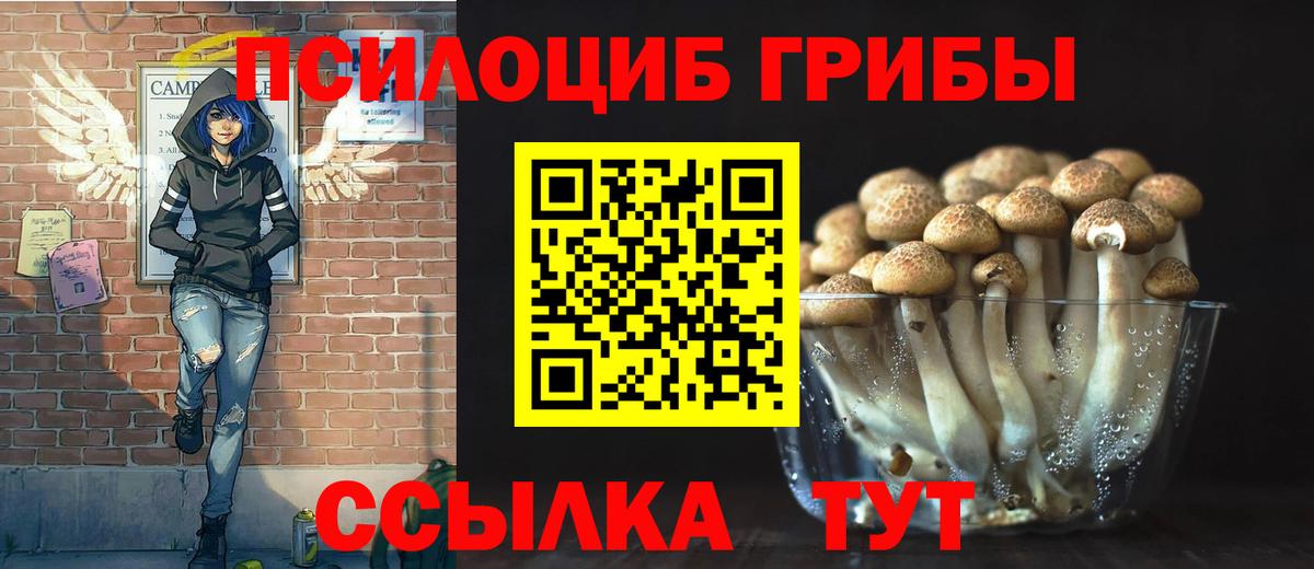 Сызрань  дарнет шоп  Вход с VPN  Галлюциногенные грибы прущие грибы 